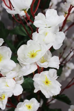 Kunstpflanze Blütenbaum Wintersweet Künstliche Pflanze Blüten Wintersweet, Arnusa, Höhe 120 cm