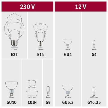 Paulmann LED-Leuchtmittel White Lampion V1 G125 400lm 4,3W 3000K 230V, Warmweiß