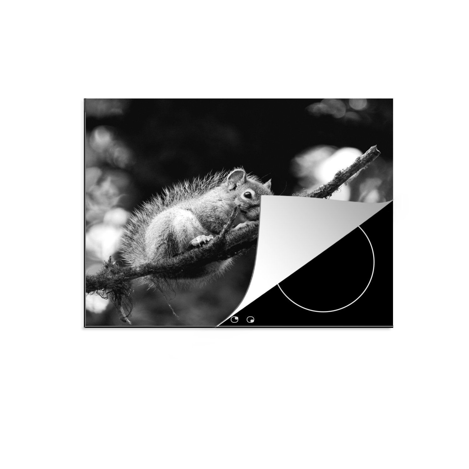 MuchoWow Herdblende-/Abdeckplatte Eichhörnchen in Schwarz und Weiß auf einem Ast, Vinyl, (1 tlg), 59x52 cm, Ceranfeldabdeckung für die küche, Induktionsmatte
