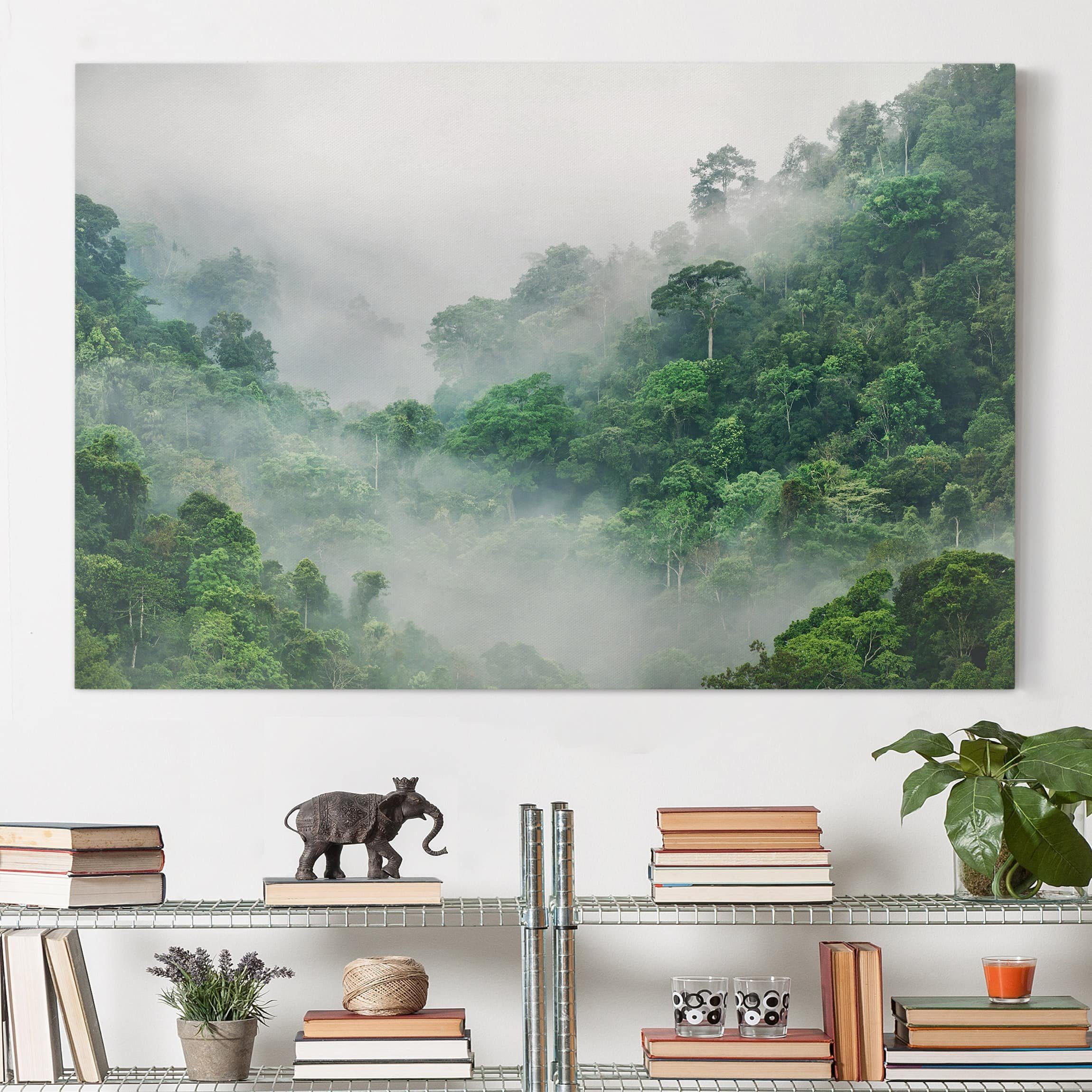 Bilderdepot24 Leinwandbild Natur Bild Leinwand Dschungel auf Wald auf XXL, Leinwanddruck Bild grün Leinwand; Modern Größen Groß vielen Nebel in