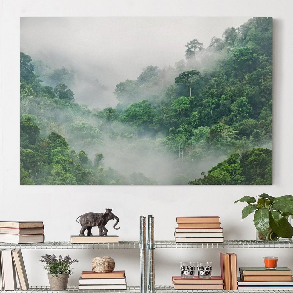 Natur Leinwanddruck auf Dschungel grün Größen Bild Leinwandbild Leinwand Nebel vielen auf in Bilderdepot24 Modern Groß Wald Leinwand; Bild XXL,