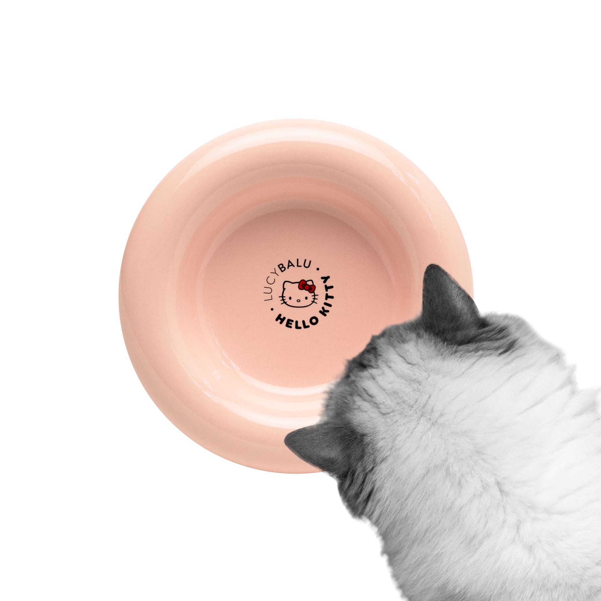Futternapf DROP Katzennapf aus Porzellan - Hello Kitty Edition