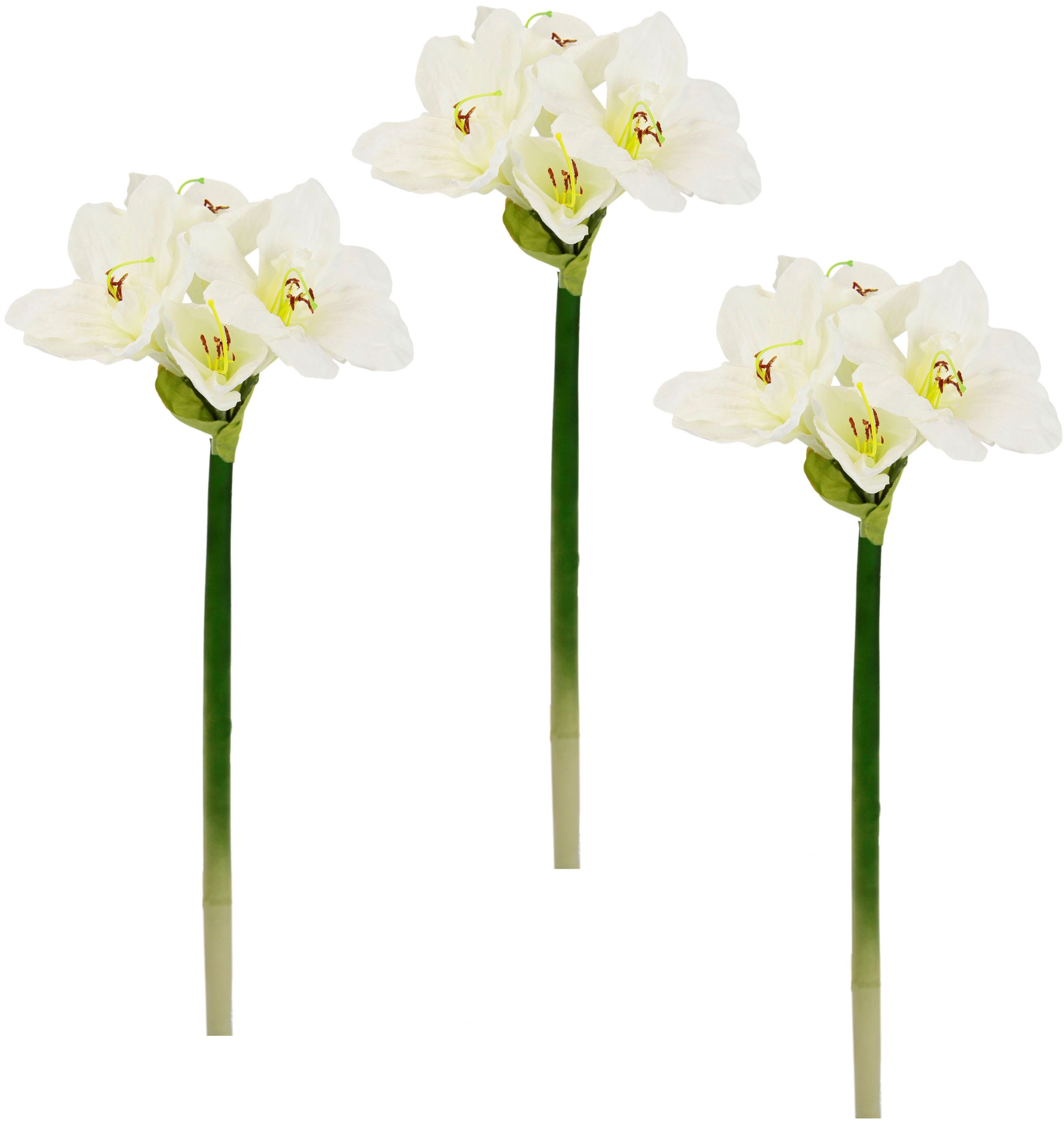Kunstblume Amaryllis, I.GE.A., Höhe 65 cm, Kunst-Stielblume, 3er Set günstig online kaufen