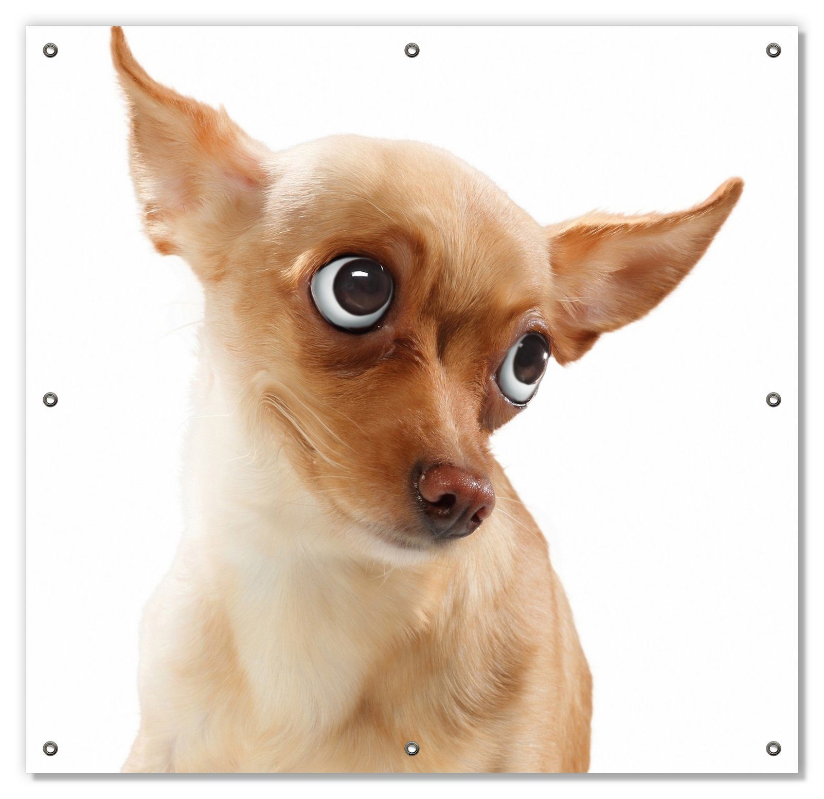Sonnenschutz Lustiger Hund mit fliegenden Ohren, Wallario, blickdicht, mit Saugnäpfen, wiederablösbar und wiederverwendbar