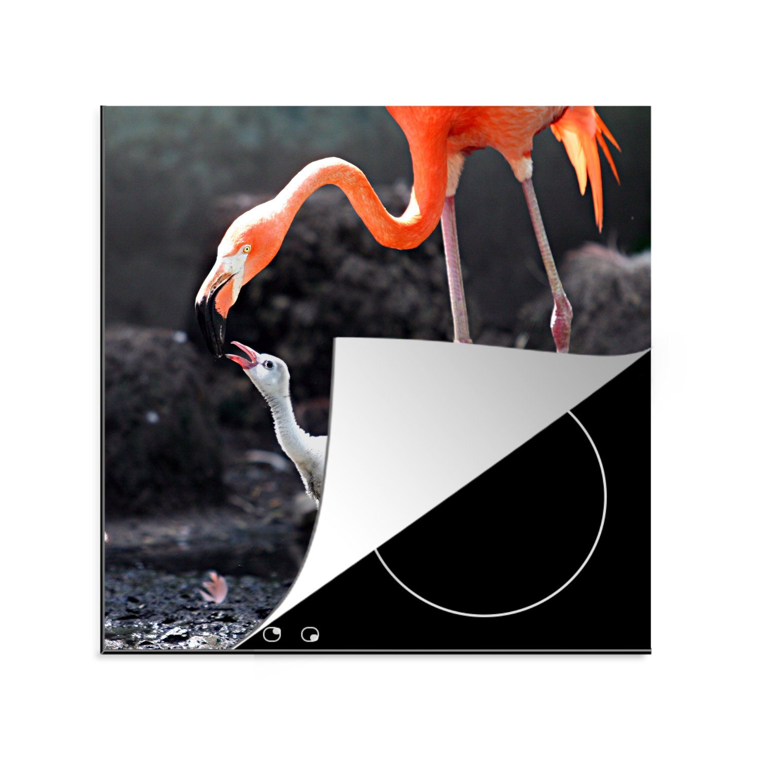 MuchoWow Herdblende-/Abdeckplatte Mutter Flamingo füttert ihr Baby, Vinyl, (1 tlg), 78x78 cm, Ceranfeldabdeckung, Arbeitsplatte für küche