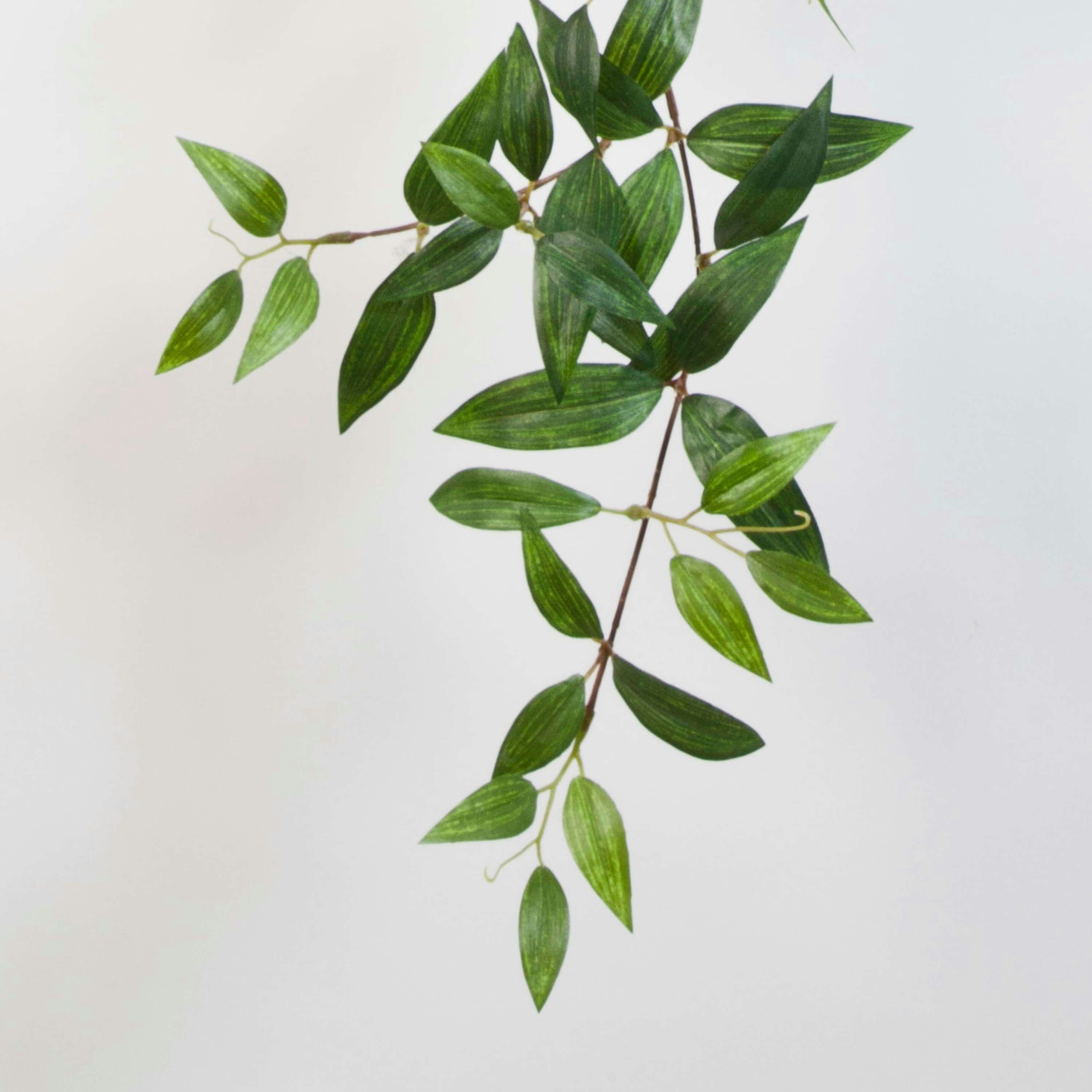 Künstliche Zimmerpflanze Deko Tradescantia Fluminensis, 730 Blätter, grün, 125cm - Kunstpflanze Tradescantia (Tradescantia fluminensis), artplants, Höhe 125.0 cm