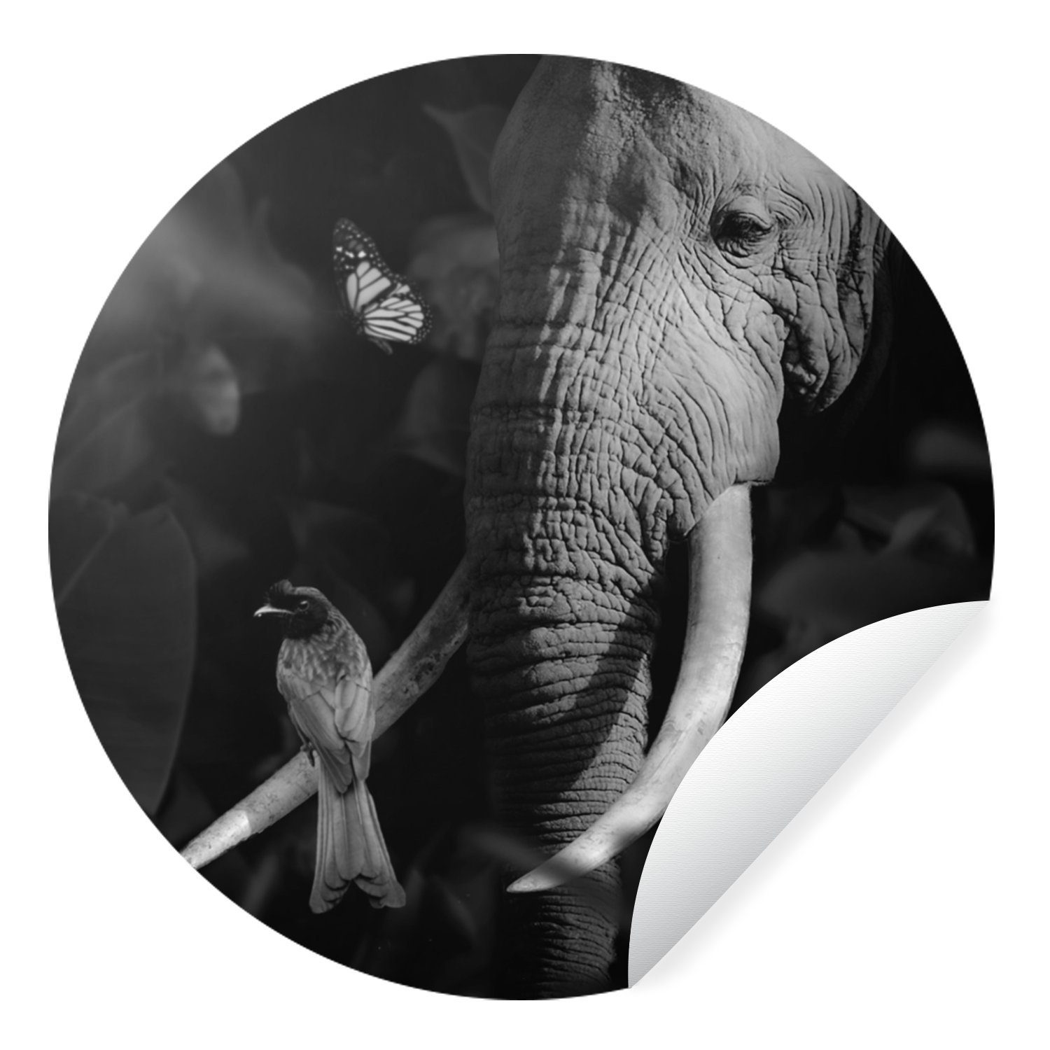 MuchoWow Wandsticker Vogel - Elefant - Dschungel - Schwarz - Weiß (1 St), Tapetenkreis für Kinderzimmer, Tapetenaufkleber, Rund, Wohnzimmer