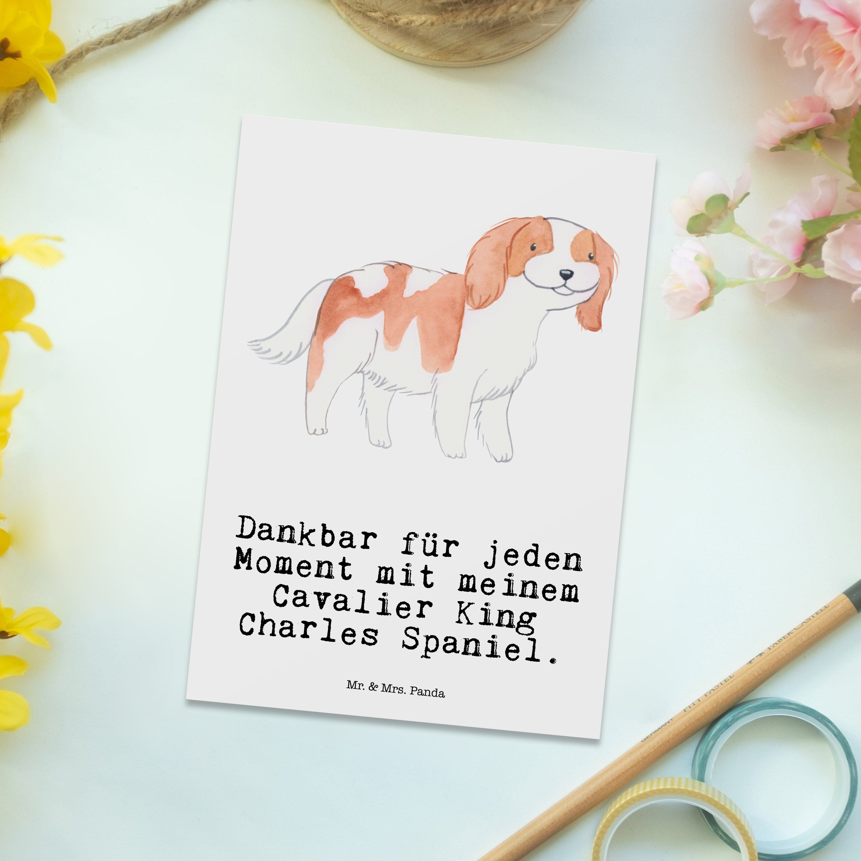 Panda Mrs. Geschenk, Spaniel Hund, Cavalier - Moment Postkarte Rassehu Mr. - Weiß Charles King &
