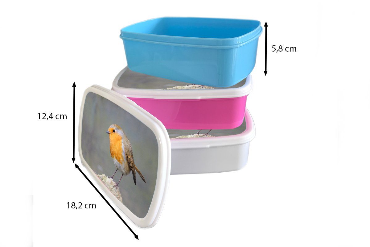 Lunchbox Kunststoff - MuchoWow Erwachsene, Kunststoff, Brotbox Vogel Mädchen, - Rotkehlchen Snackbox, rosa (2-tlg), Brotdose für Kinder, Felsen,