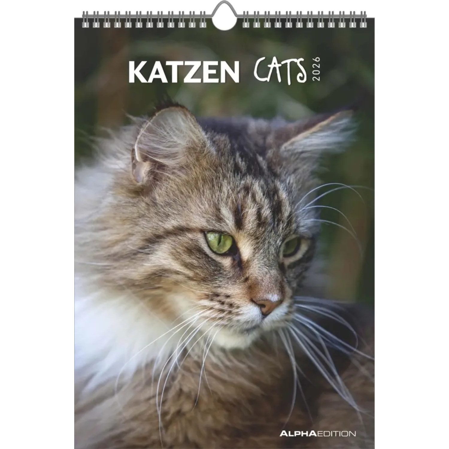 Alpha Edition Wandkalender Alpha Edition - Katzen Kalender 2026 - Wandkalender 23,7×34 cm mit...