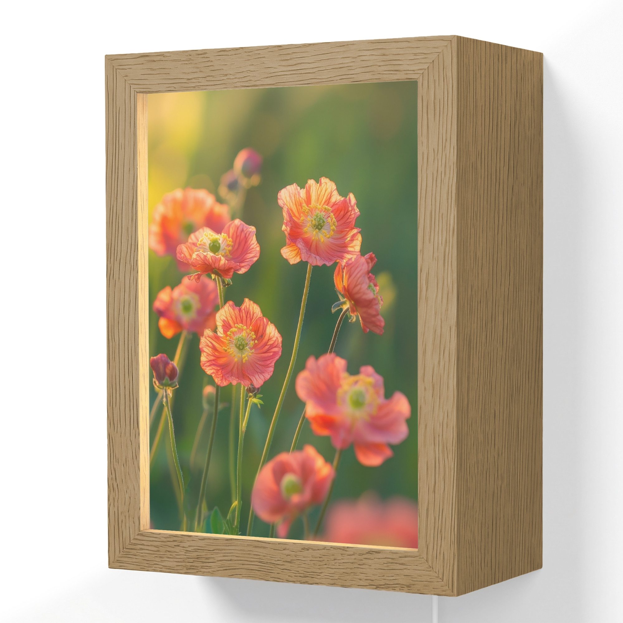 Wandleuchte Lightbox Blumenfeld - Sonnenstrahlen - Orange
