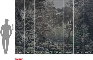 Komar Fototapete Vlies Fototapete - Wood Wide Web - Größe 400 x 250 cm, glatt, bedruckt, (Packung, 1 St)