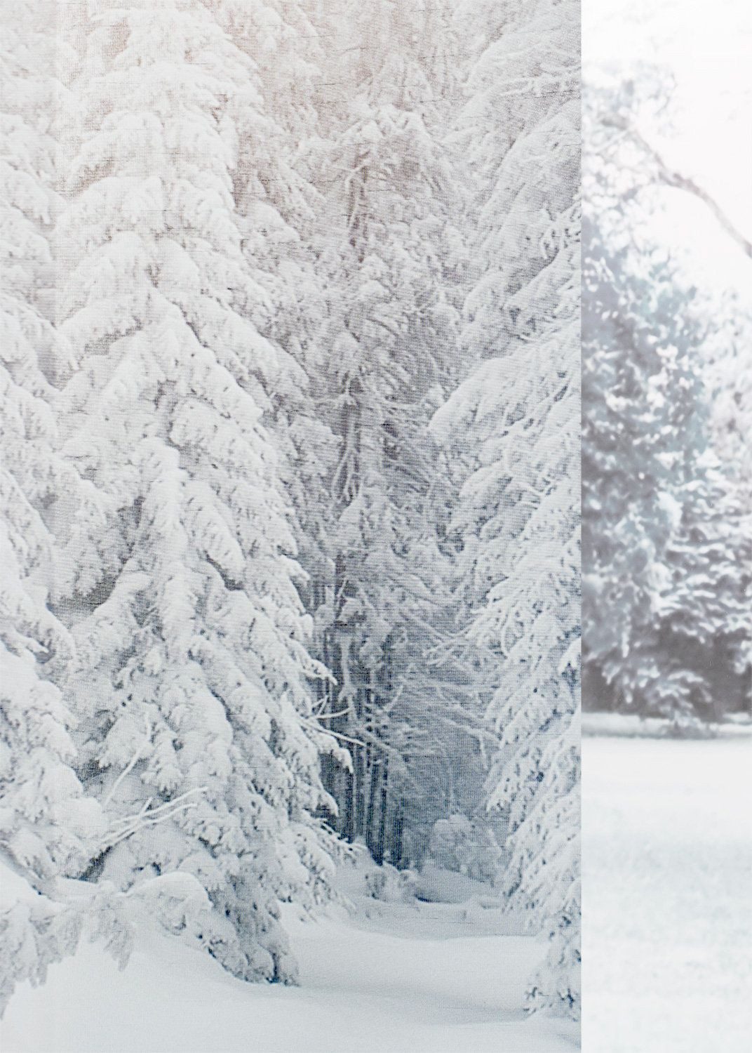 LYSEL® Schiebegardine Wintertraum (1 St), halbtransparent, günstig online kaufen