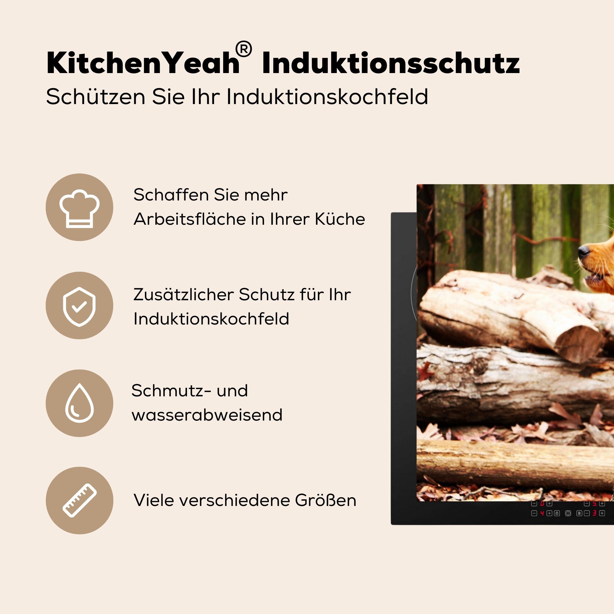 MuchoWow Herdblende-/Abdeckplatte Schutz küche, die (1 - Vinyl, cm, Zweig Natur, - tlg), Hund 81x52 Induktionskochfeld Ceranfeldabdeckung für
