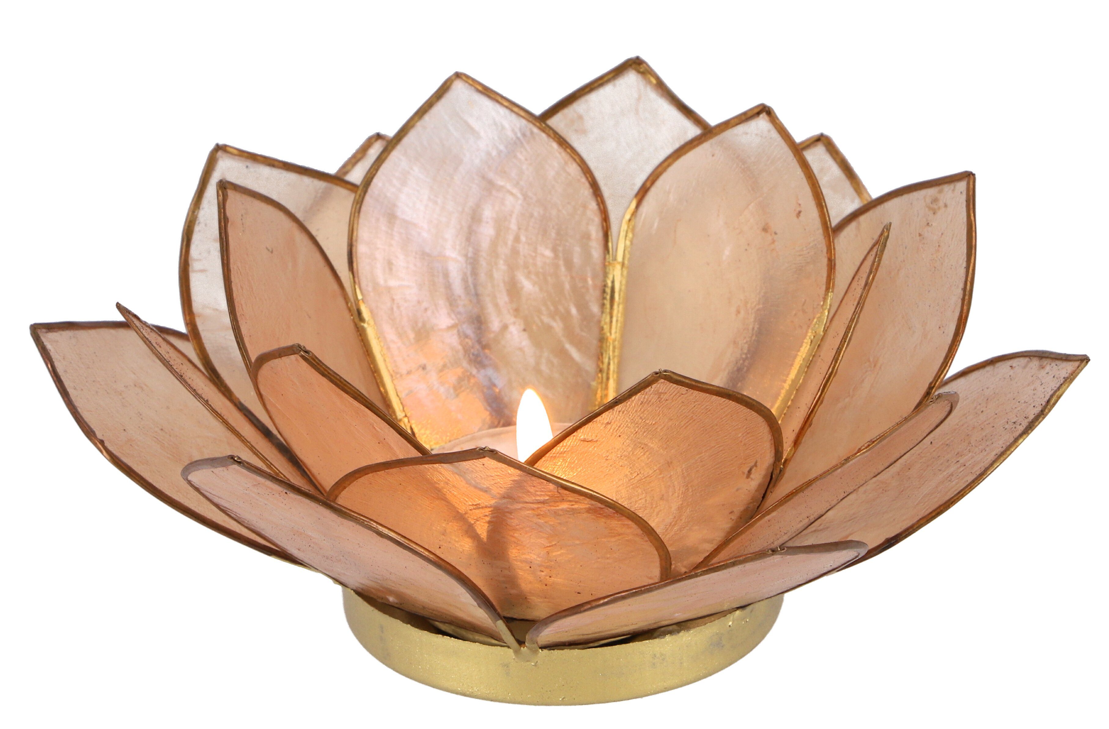Guru-Shop Windlicht Lotus Teelicht Muschel 14*6 cm - sandfarben günstig online kaufen