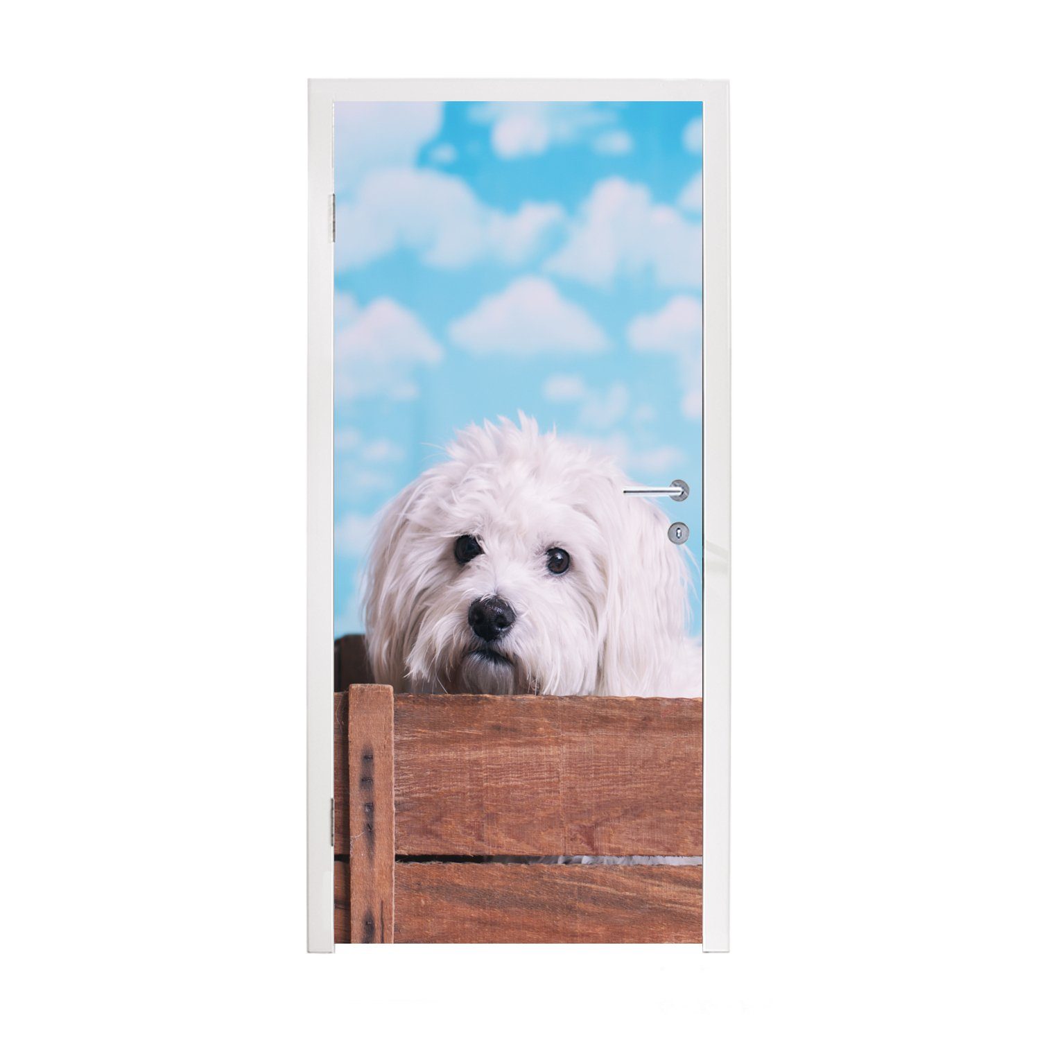 MuchoWow Türtapete Malteser Hund in einer Holzkiste, Matt, bedruckt, (1 St), Fototapete für Tür, Türaufkleber, 75x205 cm