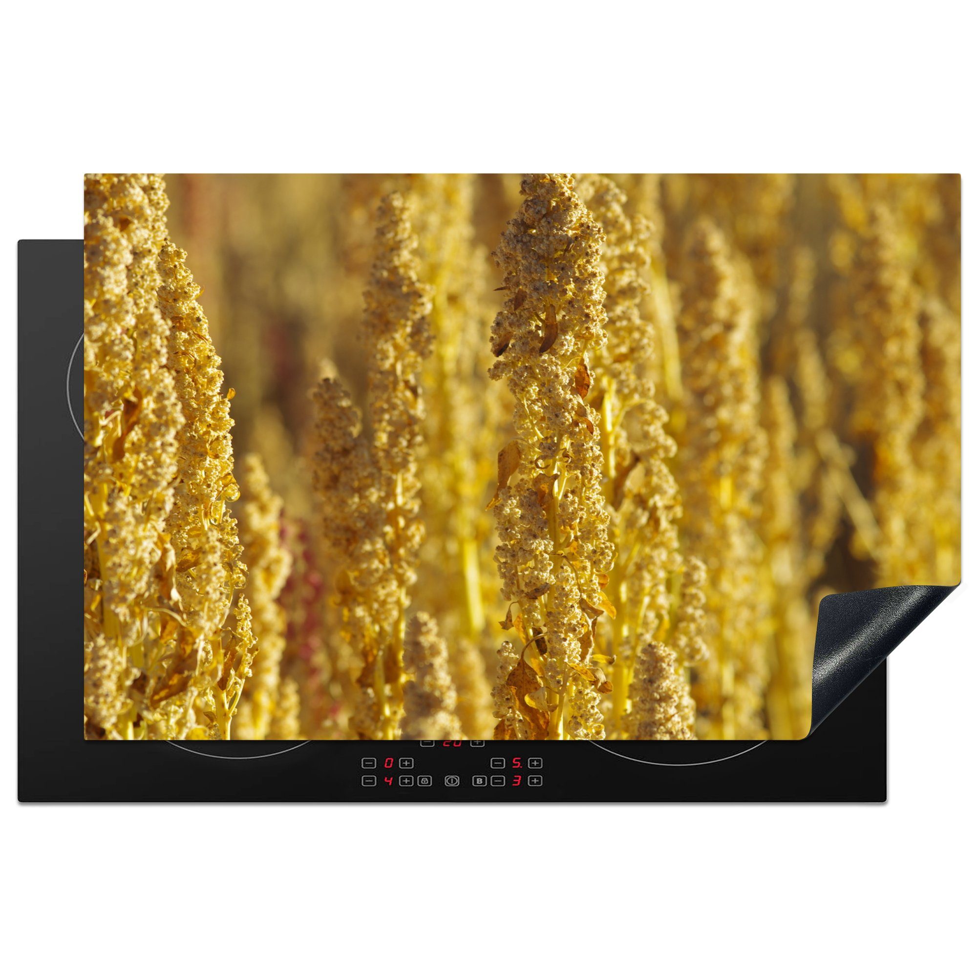 MuchoWow Herdblende-/Abdeckplatte Die goldenen Stängel der Quinoa-Pflanzen sprießen wie Kohlköpfe, Vinyl, (1 tlg), 81x52 cm, Induktionskochfeld Schutz für die küche, Ceranfeldabdeckung