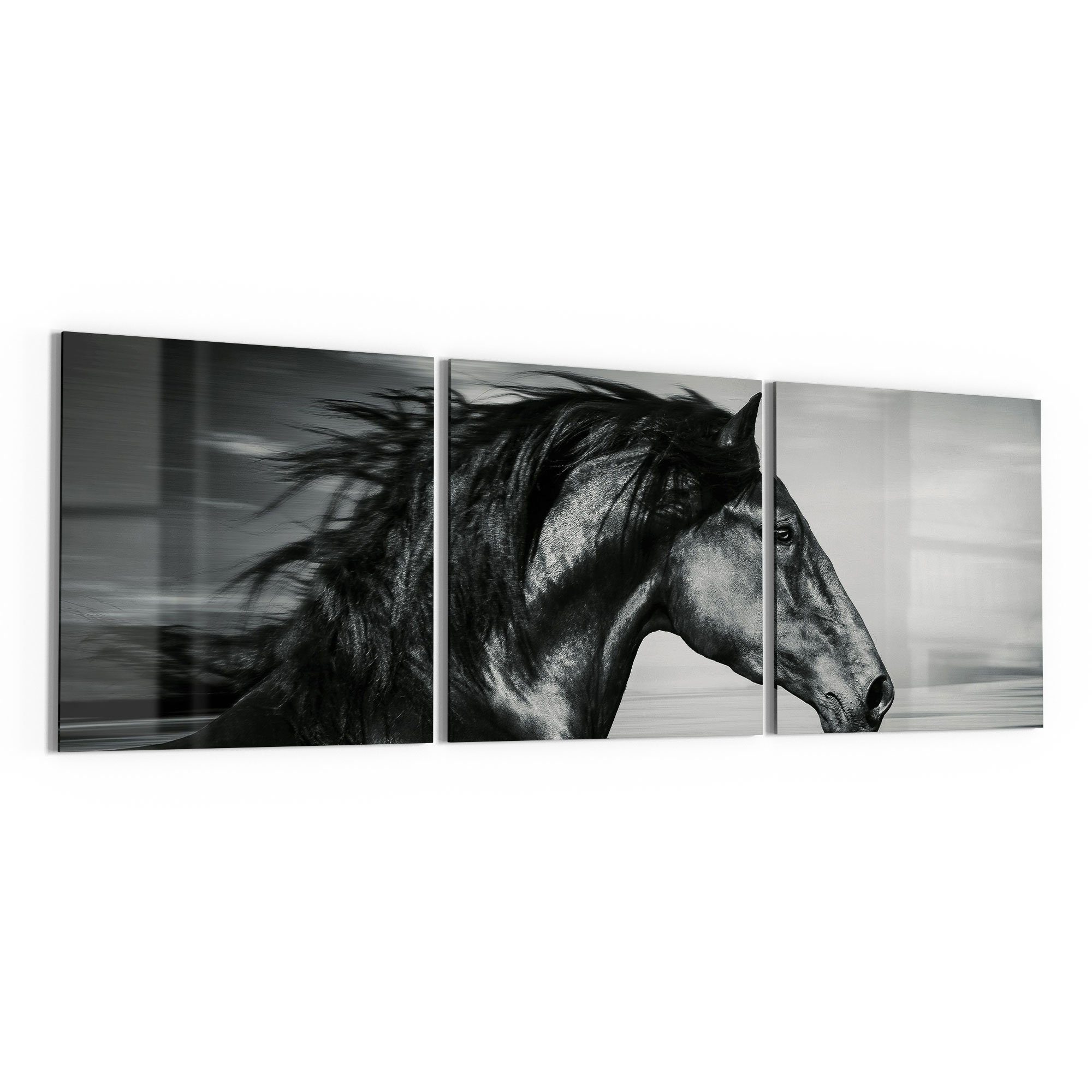 DEQORI Glasbild 'Galoppierendes Pferd', 'Galoppierendes Pferd', Glas Wandbild Bild schwebend modern