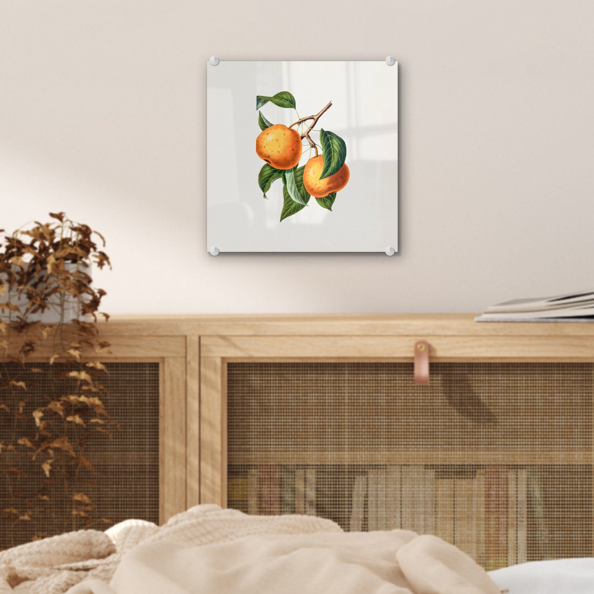 Obst - Acrylglasbild (1 Glasbilder Orange St), Wanddekoration Bilder - Foto Glas - - auf Jahrgang, auf Glas MuchoWow - Wandbild