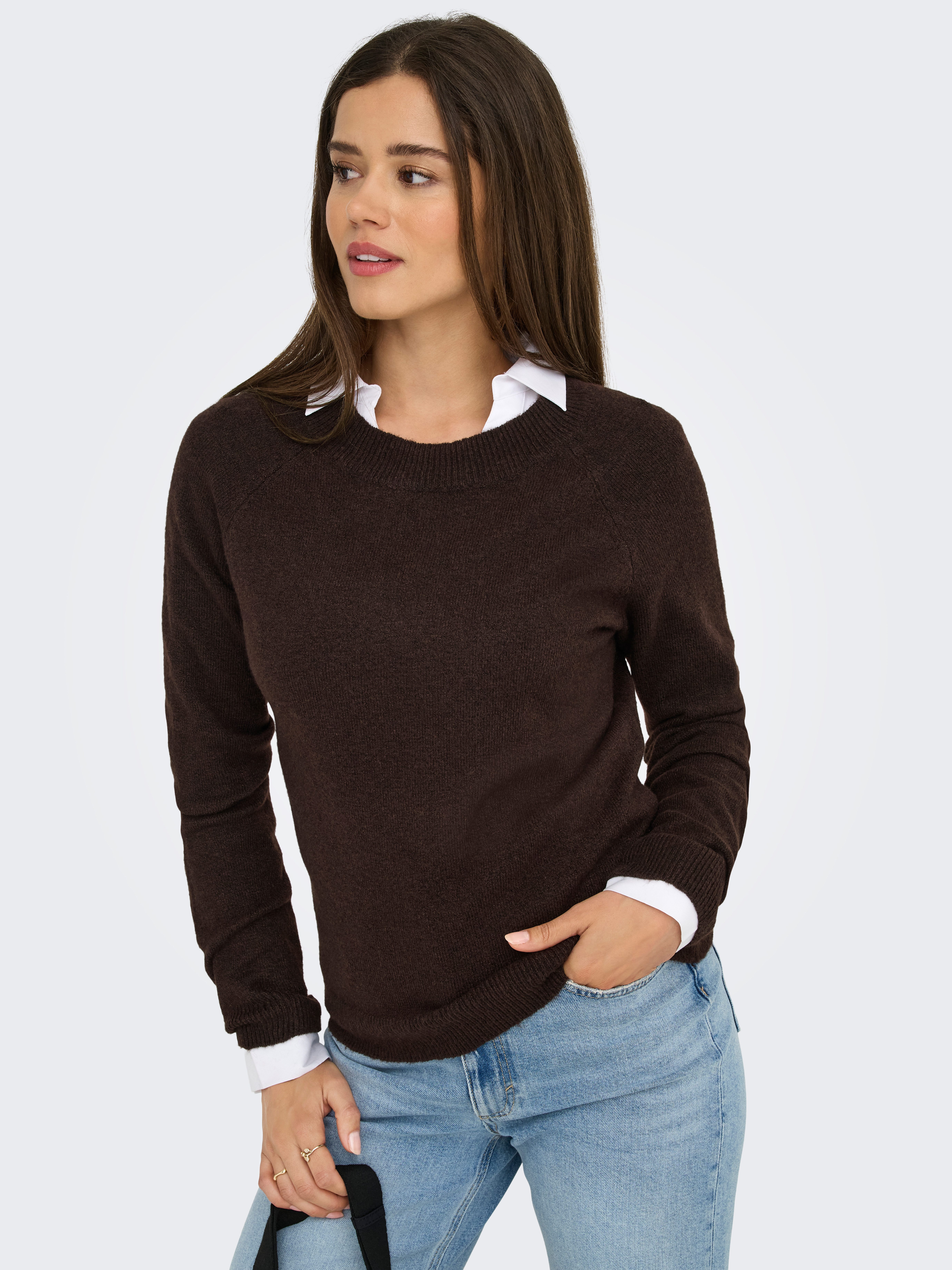 ONLY Rundhalspullover ONLRICA LIFE L/S PULLOVER günstig online kaufen