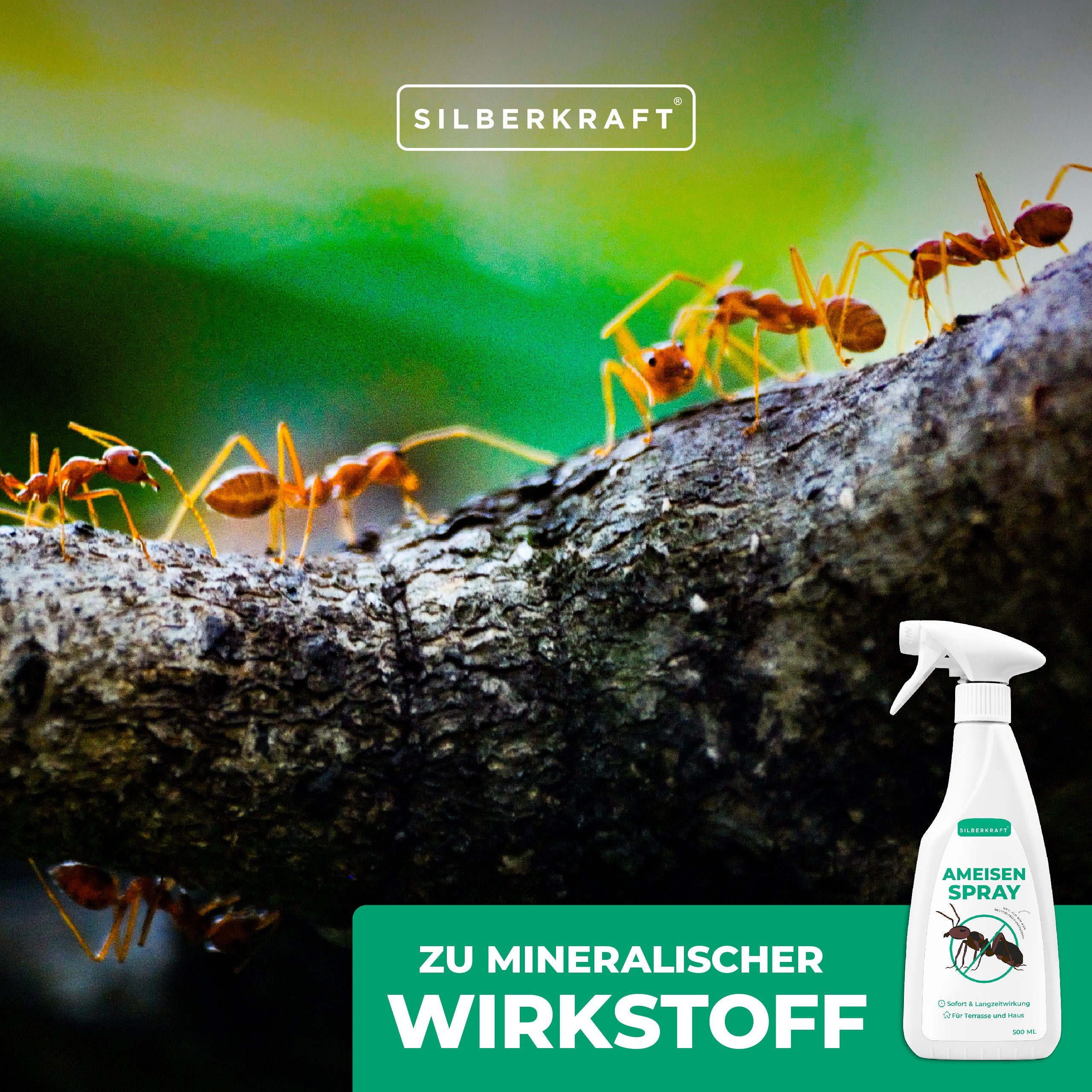 Silberkraft Insektenspray Ameisenspray, Ameisen Anti ml, 1-St. Spray - 500
