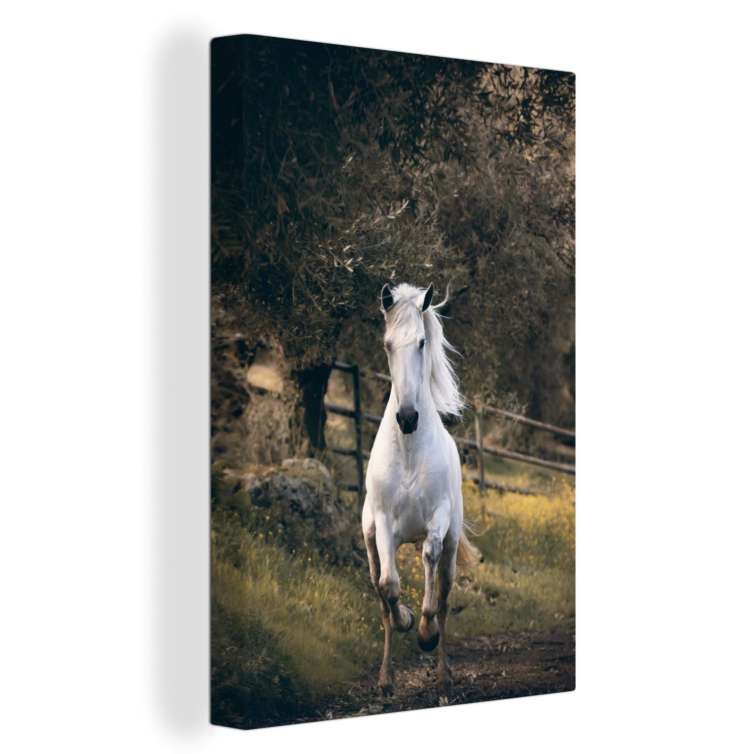 OneMillionCanvasses® Leinwandbild Pferd - Natur - Schlamm, (1 St), Leinwandbild fertig bespannt inkl. Zackenaufhänger, Gemälde, 20x30 cm