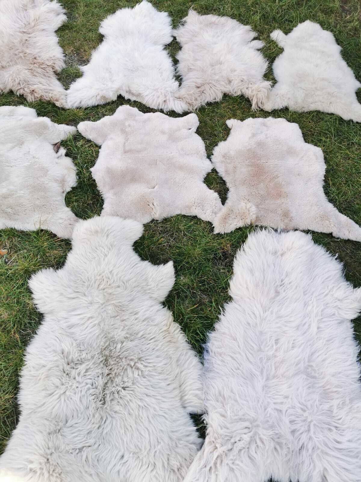 Provellus Fellteppich Schaffell Lammfell Hellbraun Unikat Weich Bis 140 cm, 30x30cm eckig