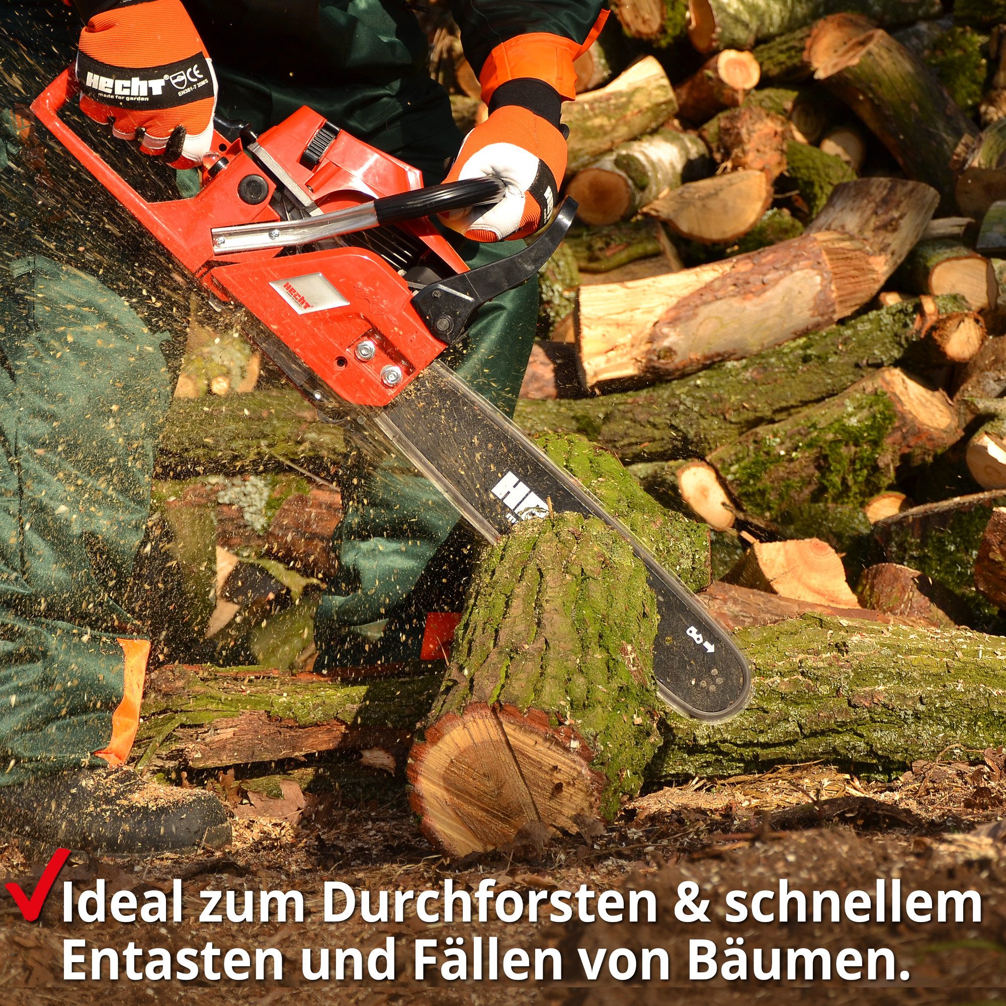 Hecht Benzin-Kettensäge 50 mit 39 cm günstig online kaufen