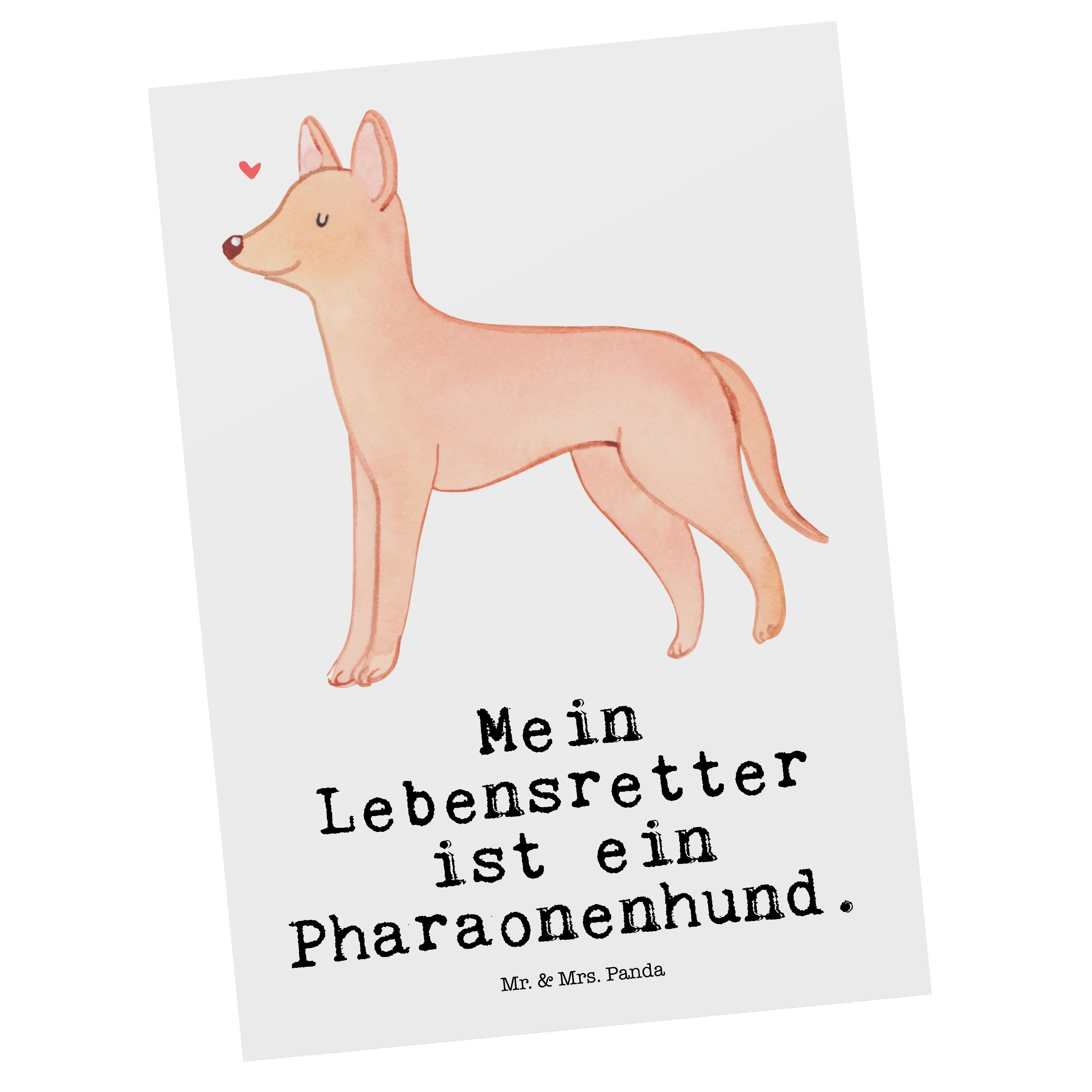 Postkarte Lebensretter - Pharaonenhund Welpe, - Geburtstagskarte Weiß Mr. Mrs. Panda & Geschenk,