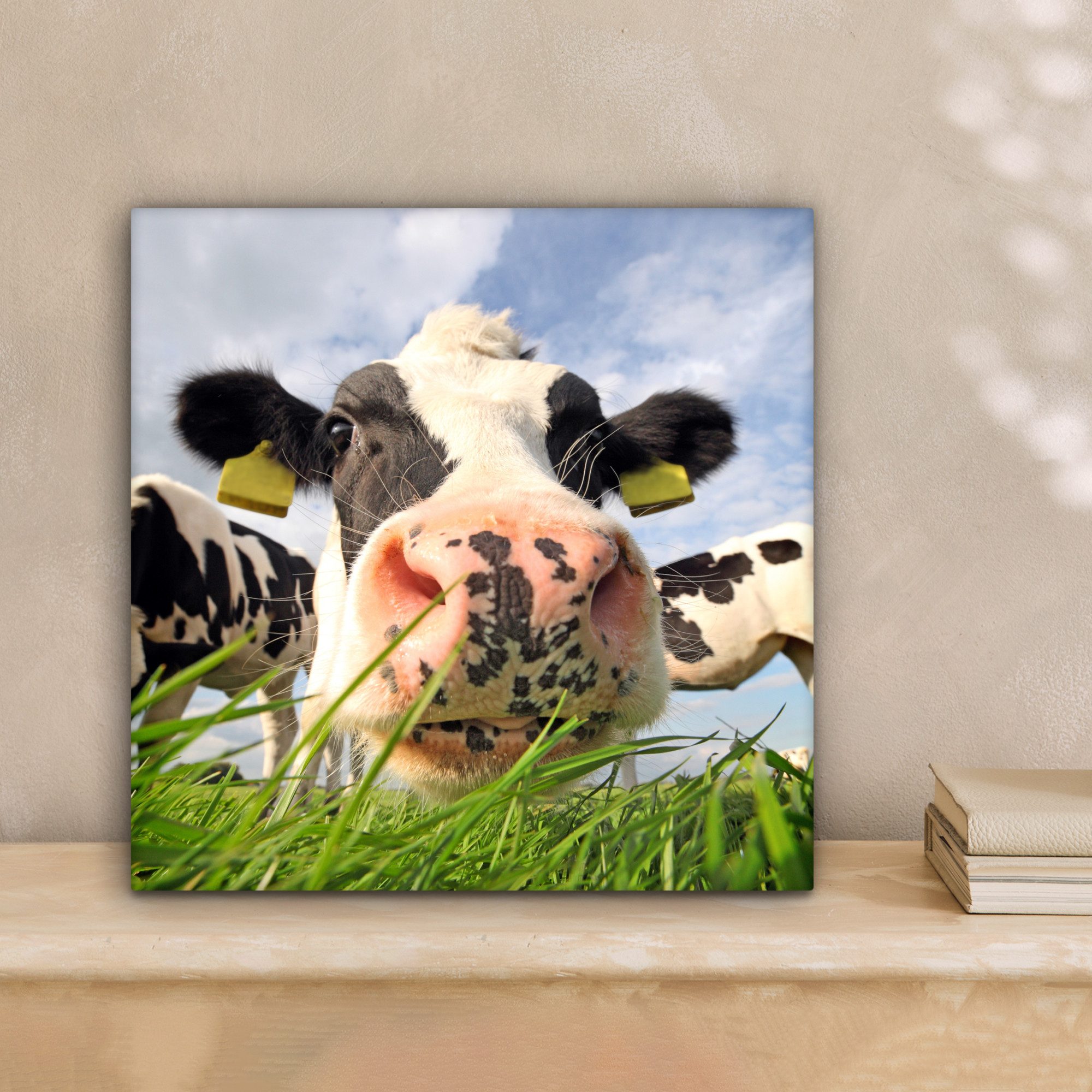 OneMillionCanvasses® Leinwandbild Kuh - Bauernhof - günstig online kaufen