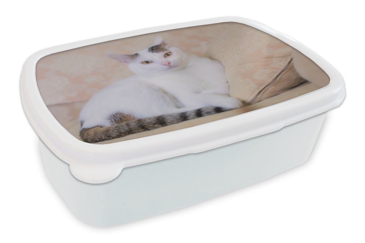 MuchoWow Lunchbox Katze - Weiß - Bank - Mädchen - Kinder - Jungen - Kinder, Kunststoff, (2-tlg), Brotbox für Kinder und Erwachsene, Brotdose, für Jungs und Mädchen