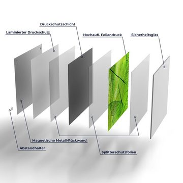 DEQORI Magnettafel 'Transparente Laubblätter', Whiteboard Pinnwand beschreibbar