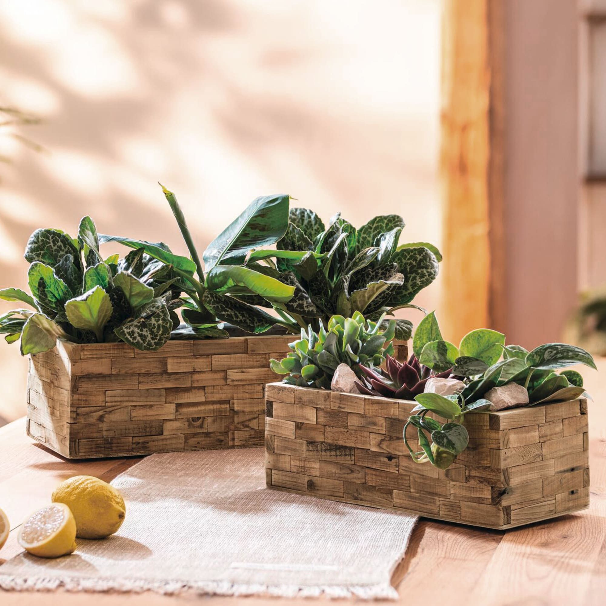 Dekoleidenschaft Blumenkasten "Puro" aus recyceltem Holz, Pflanzkasten Blumentopf für Zimmerpflanzen (2 St., im Set), Pflanzentopf, Übertopf, Pflanzgefäß, Blumenkübel