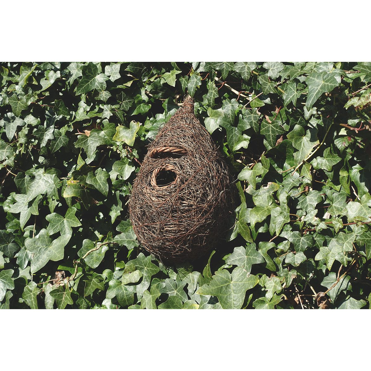 Vogelhaus Wildlife World Nestbau Taschen für günstig online kaufen