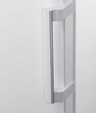 Hanseatic Gefrierschrank HGS18560ENFDW, 185 cm hoch, 59,5 cm breit, NoFrost, Schnellgefrierfunktion, Display, Türalarm