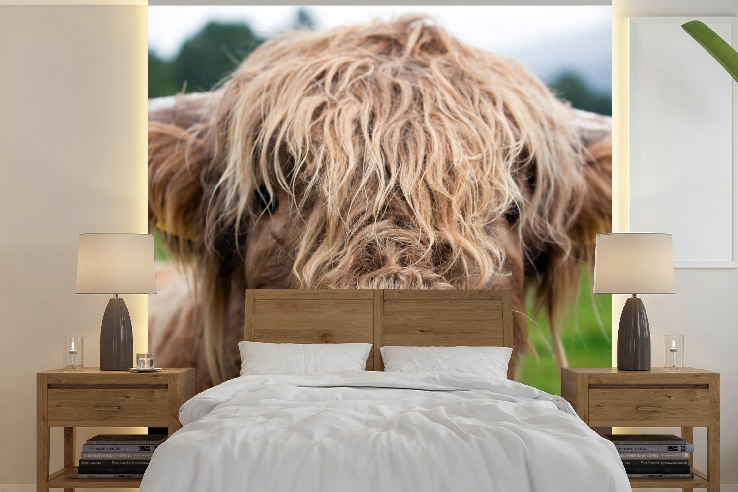 Schlafzimmer, MuchoWow - (5 Wandtapete Schottische Landschaft Nahaufnahme, Highlander-Kuh Fototapete für oder Vinyl St), - Tapete Matt, bedruckt, Wohnzimmer