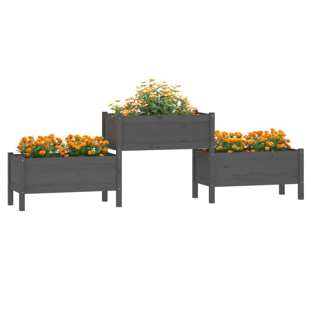 vidaXL Blumenkasten 2455 x 44 x 75 cm Pflanzkübel Grau 245,5x44x75 cm Massivholz Kiefer