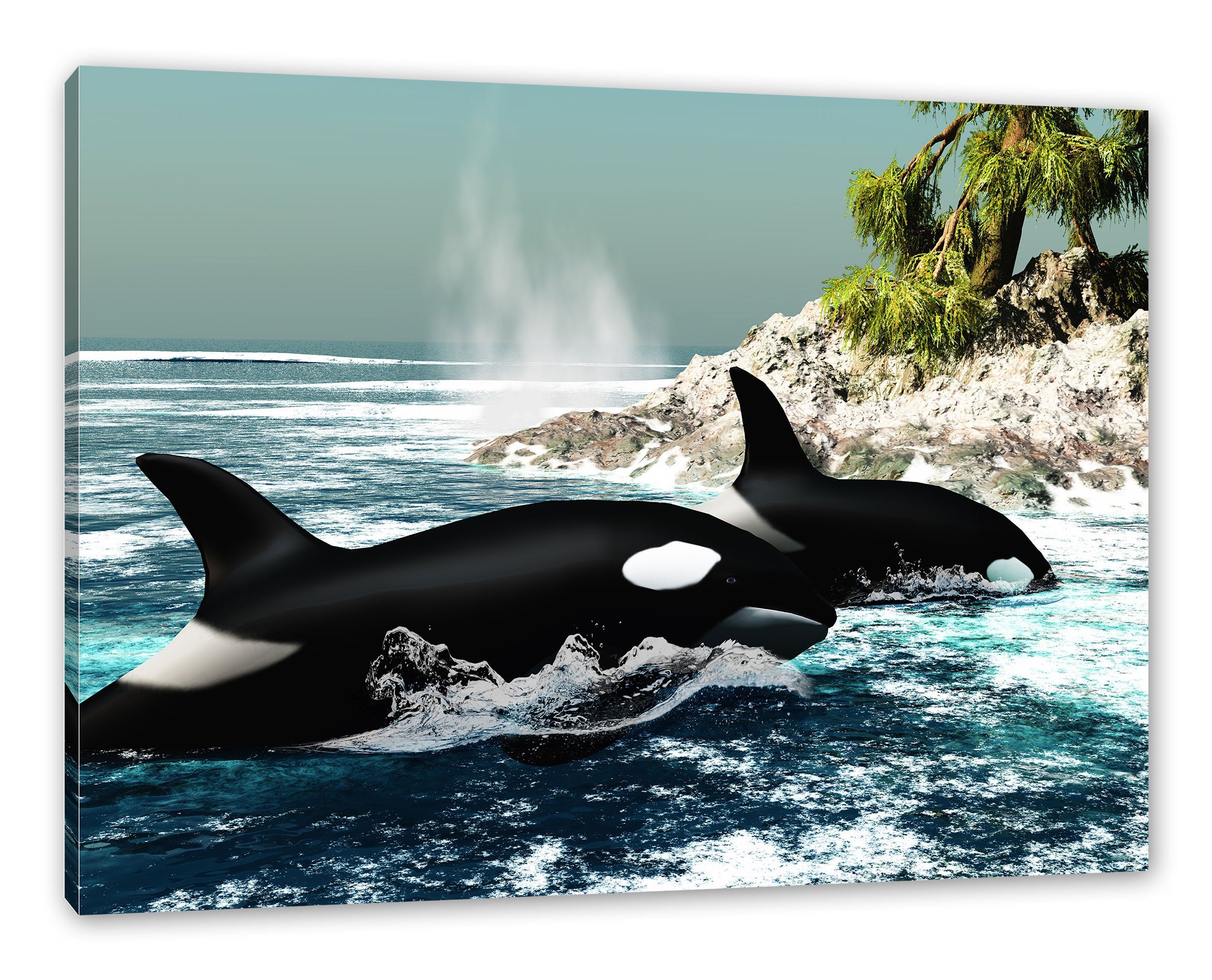 Pixxprint Leinwandbild Orcas vor Insel, Orcas vor Insel (1 St), Leinwandbild fertig bespannt, inkl. Zackenaufhänger