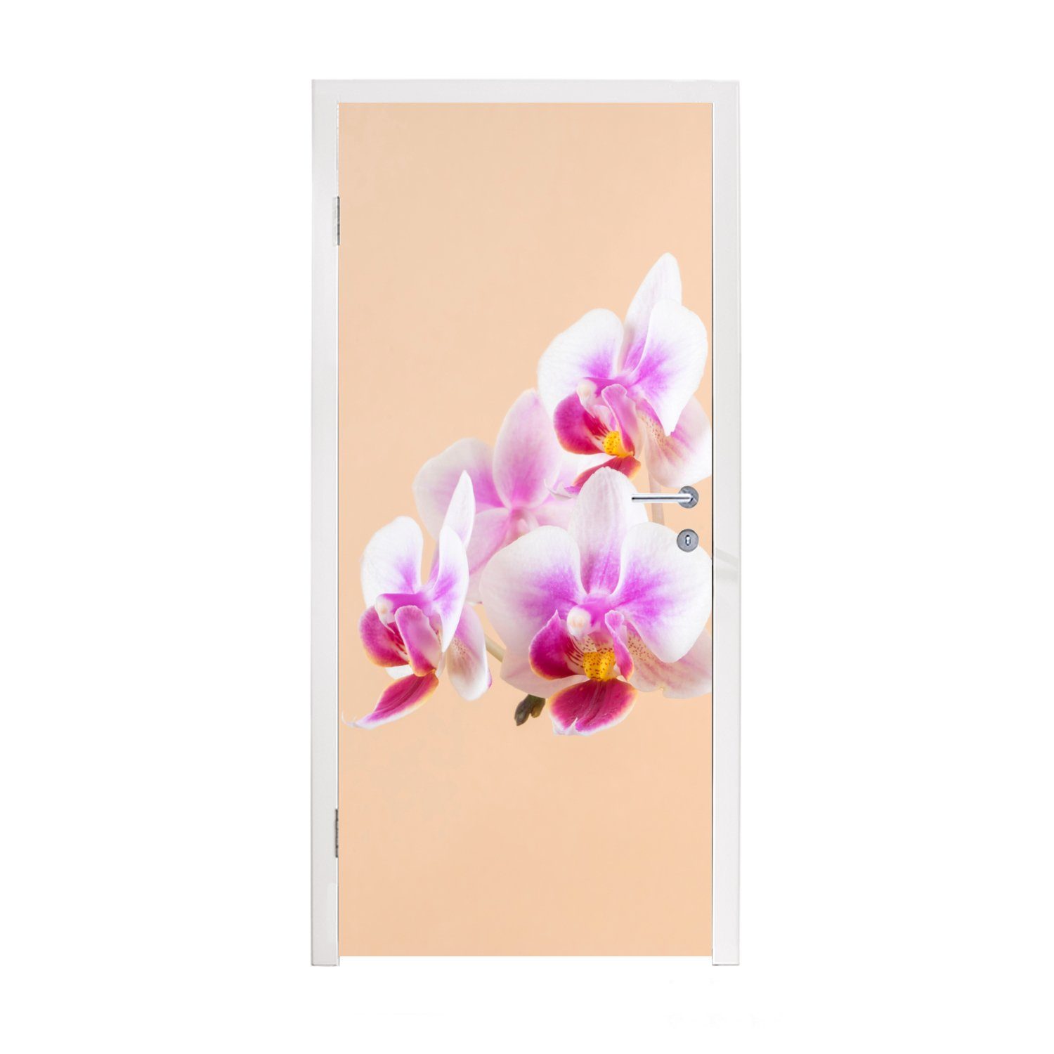 Matt, und (1 Fototapete Tür, Türtapete 75x205 für Türaufkleber, Orchidee, cm bedruckt, Weiße rosa MuchoWow St),