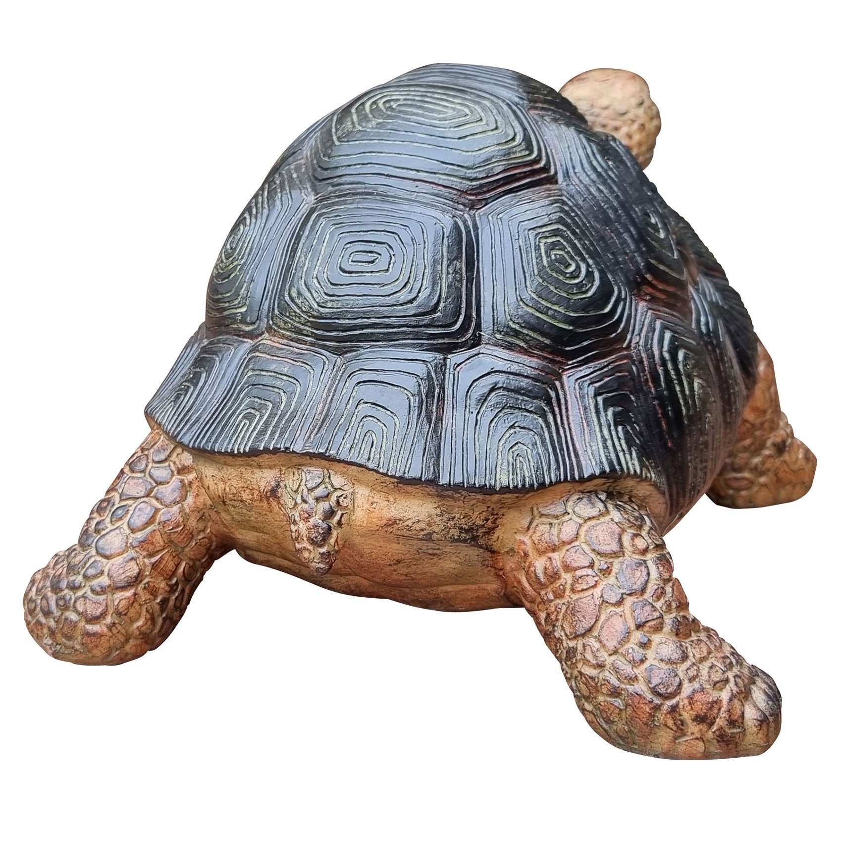 Fachhandel Schildkröte (1 St), Plus lebensechte Garten-Deko-Figur Gartenfigur Frieda,