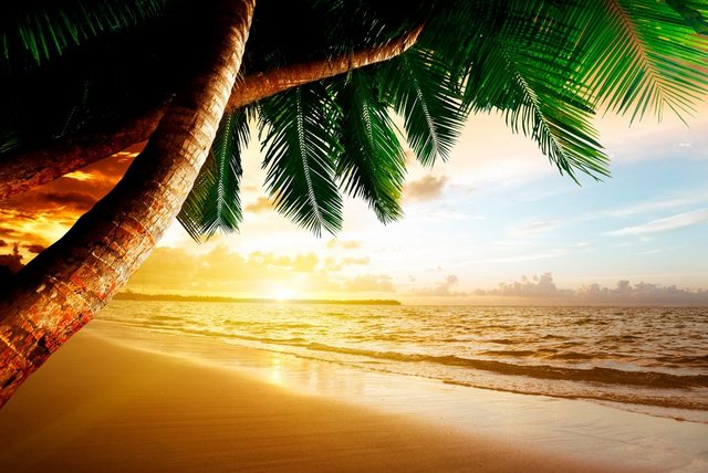 Papermoon Fototapete »Caribbean Beach Sunrise«, glatt-Otto