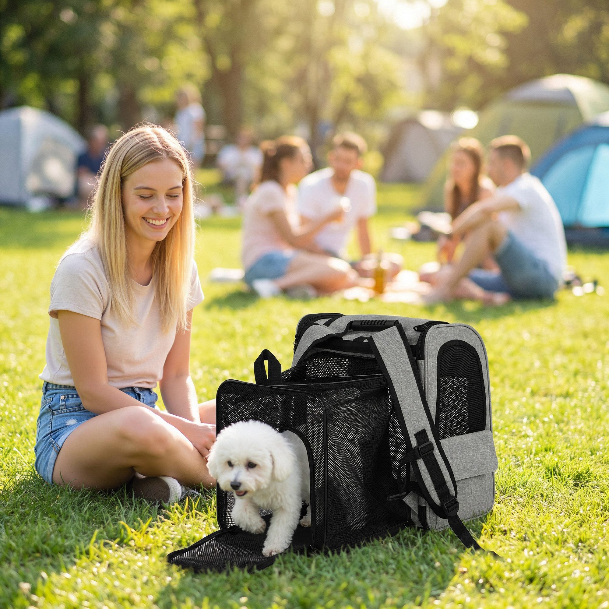 PawHut Tiertransportbox Hunderucksack Erweiterbar mit Netzfenster Taschen bis 10 kg, für Katzen Hunde bis 10 kg 33,5 x 28 x 42 cm Hellgrau