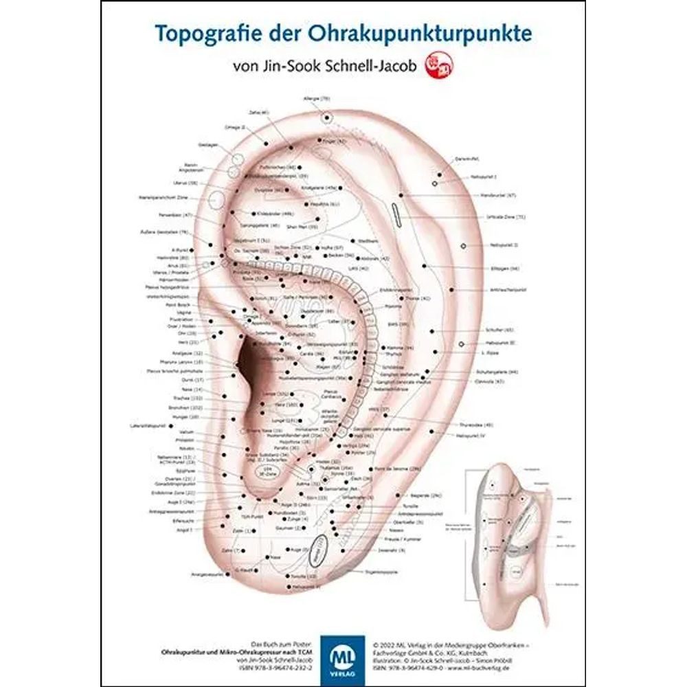 Poster Poster - Topografie der Ohrakupunkturpunkte