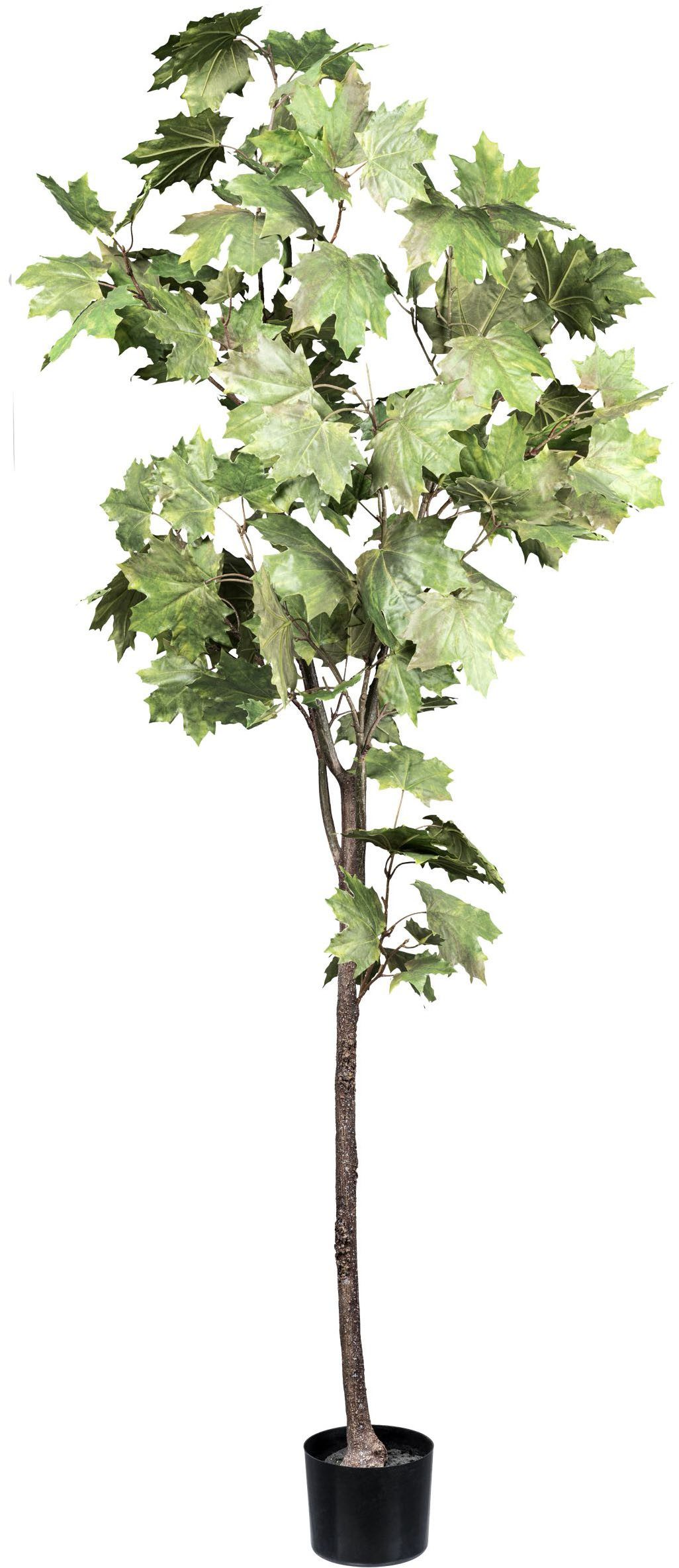 Kunstbaum Ahornbaum Grünpflanze, Creativ green, Höhe 175 cm, mit detailgetreuen Blättern