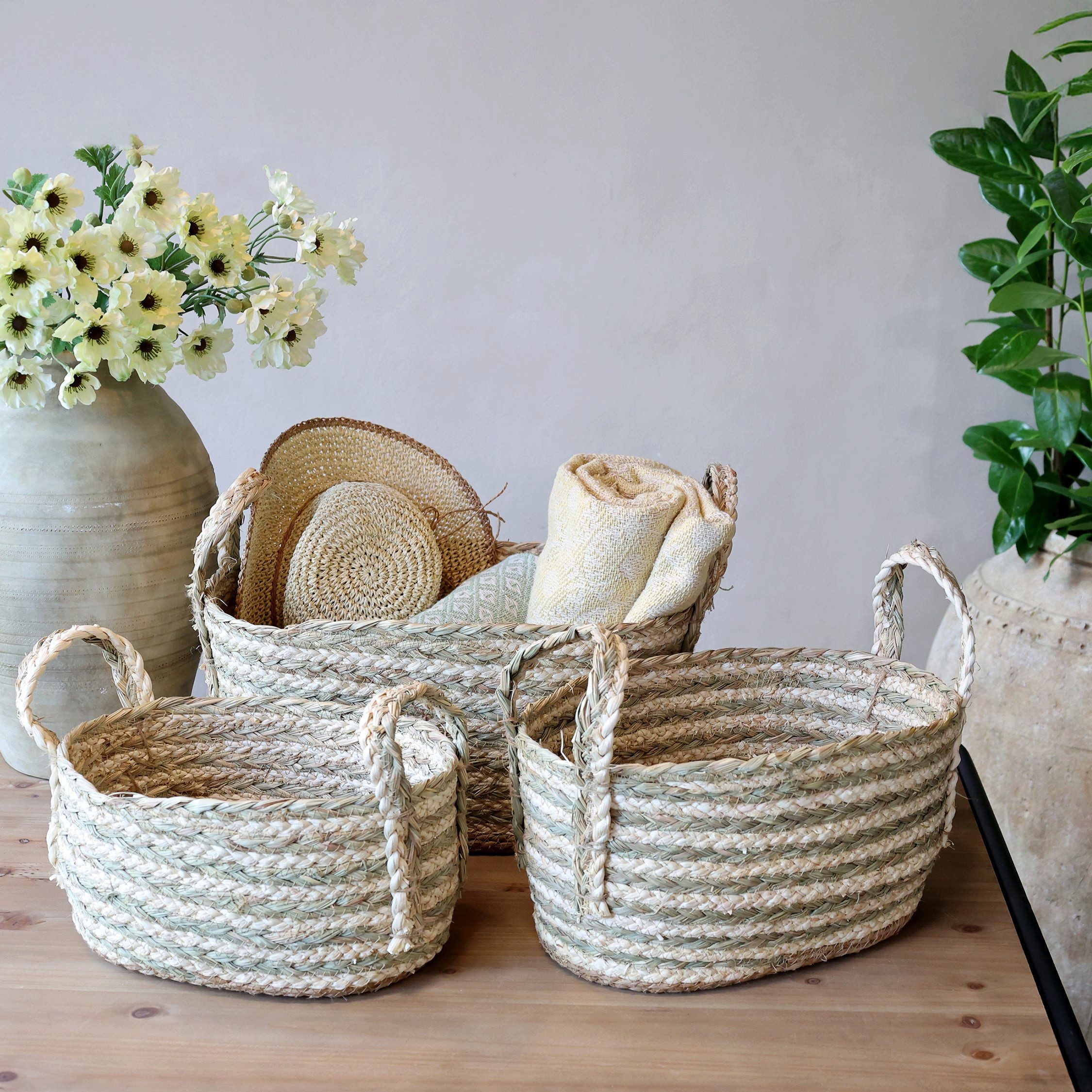 Chic Antique Allzweckkorb Chic Antique Korb Set aus Seegras 3er Set Creme & Verte