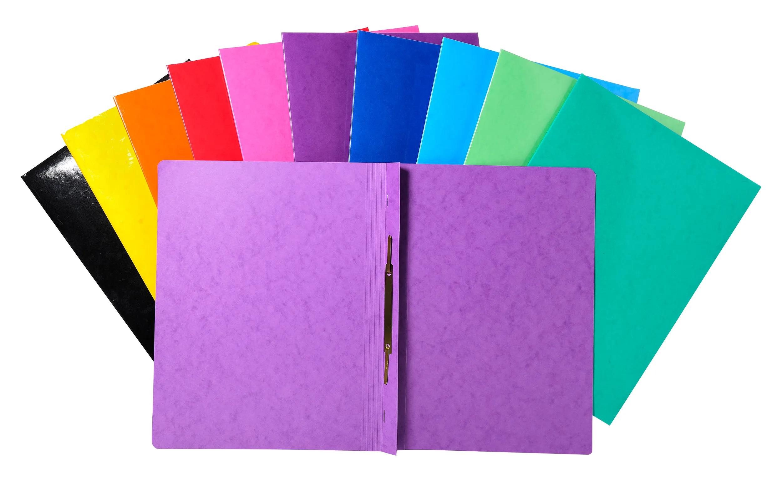 EXACOMPTA Organisationsmappe 25x Schnellhefter Colorspan Krt., 355g/m2, A4, sortiert, 380800B, Schnellhefter Ösenhefter Einhakhefter