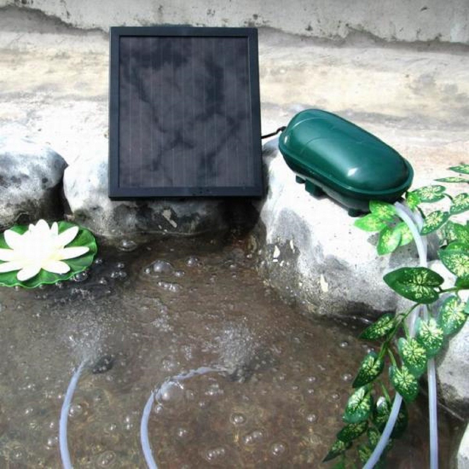 Wehmann Teichbelüfter Solar Power Doppel Belüfterpumpe günstig online kaufen