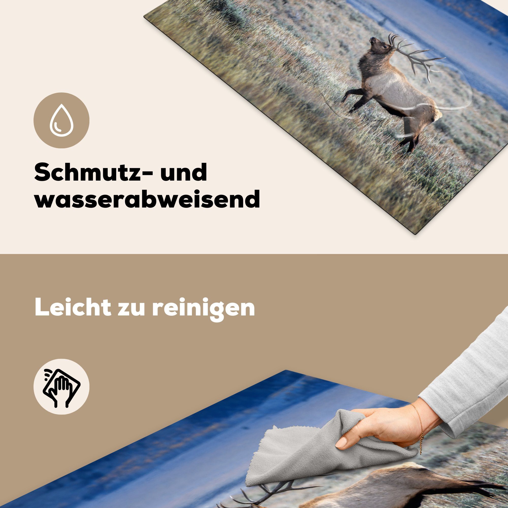 Induktionskochfeld 81x52 cm, küche, - Elche Gras, Herdblende-/Abdeckplatte Vinyl, MuchoWow tlg), (1 Schutz die - Hirsche für Ceranfeldabdeckung