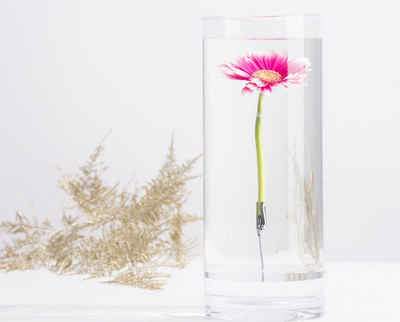 esschert design Kugelvase Versunkene Blumen Vase 30cm Glas mit Clip unter Wasser Pflanzen Deko (1 Vase)