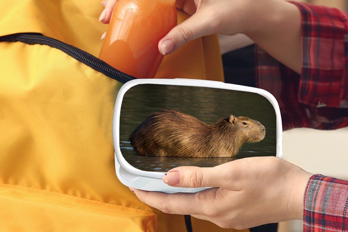 Capybara für Kunststoff, im und Erwachsene, (2-tlg), Brotdose, für steht Wasser, Lunchbox Jungs Ein MuchoWow Kinder Brotbox und weiß Mädchen